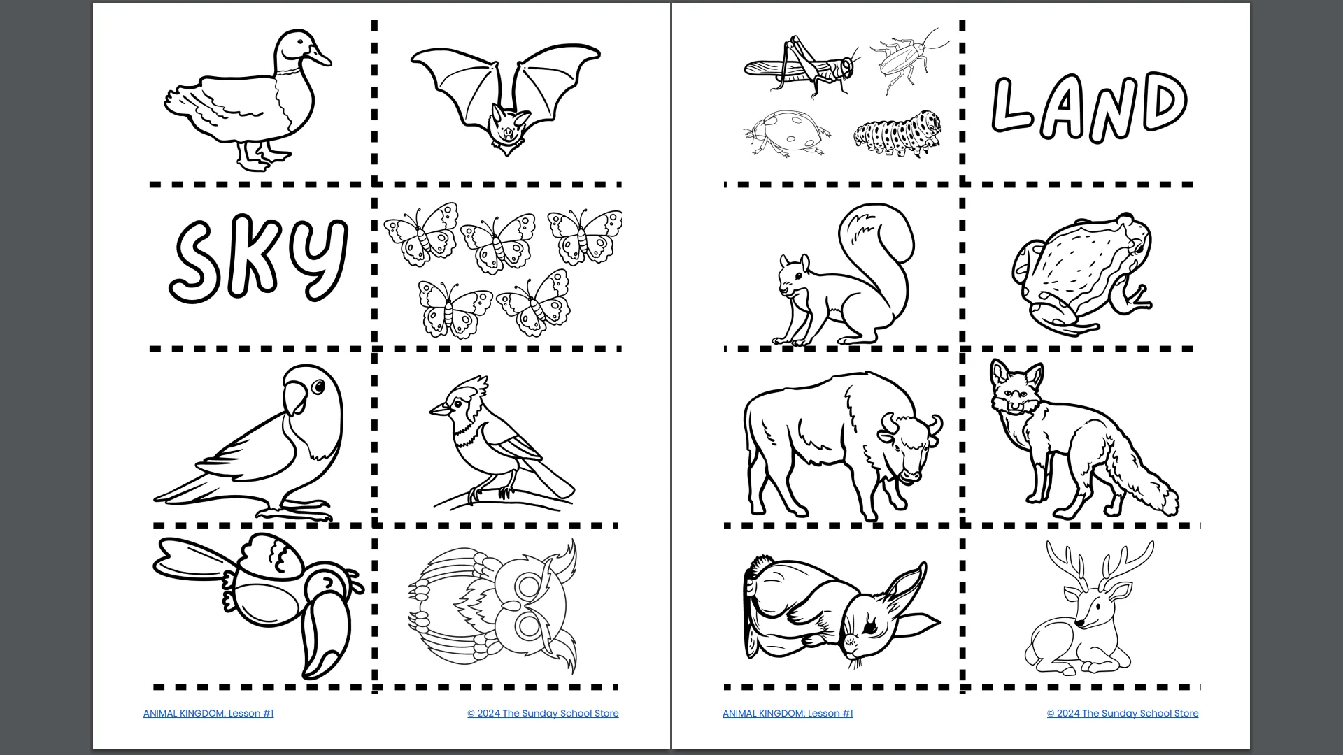 Animal Kingdom: 4-Week Children's Ministry Curriculum (ages 6-12) - Image 10